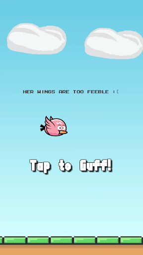 Botty Bird Screen 3