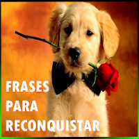 Download Frases para reconquistar Free for Android - Frases para  reconquistar APK Download 