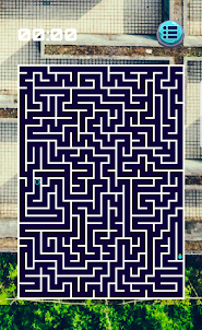 Maze puzzle