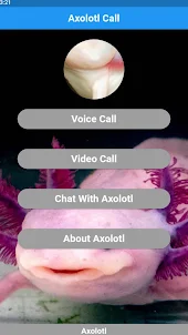 Axolotl call simulator