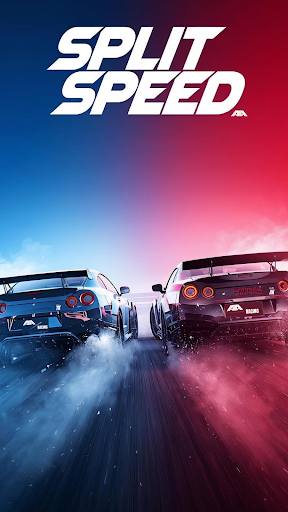 Split Speed: Dual Car Racing screenshot