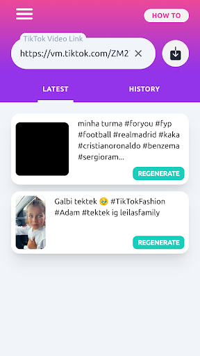 TikTok Video Downloader Screen 2