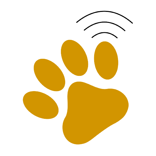 Patiizim logo