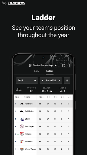 Screenshot of Penrith Panthers