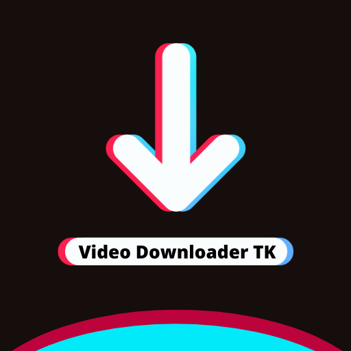 Video Downloader TK