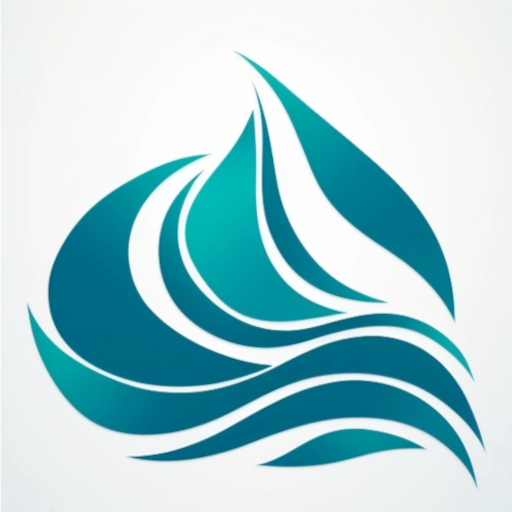 Boraa logo