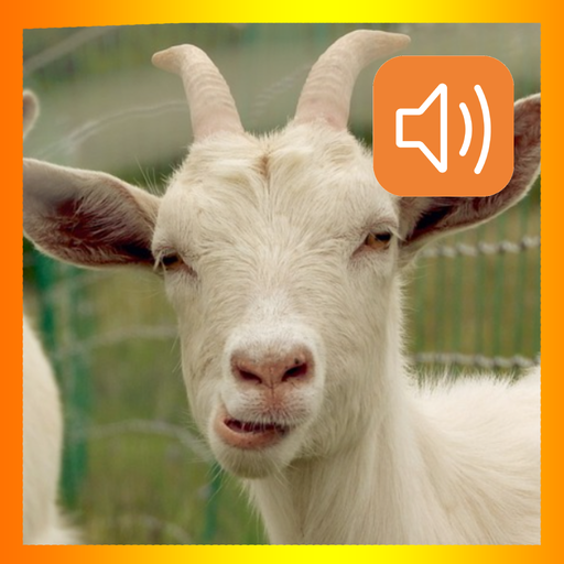 Goat Sounds App  Icon