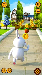 Rabbit-Cat Running Games