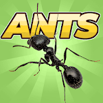 Cover Image of 下载 Pocket Ants: Colony Simulator 0.0615 APK