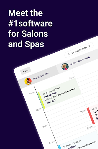 Salonist for business