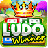 Ludo Game : Ludo Winner