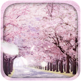 Romatic Sakura Live Wallpaper icon