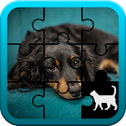 Top 29 Puzzle Apps Like Dog Jigsaw Puzzle - Best Alternatives