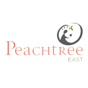 Peachtree East  Icon