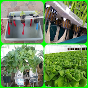the most complete hydroponic tutorial