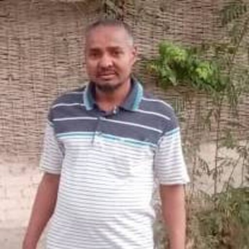 النحوي الفصيح