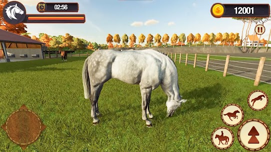 My Horse Herd Care Simulator 5