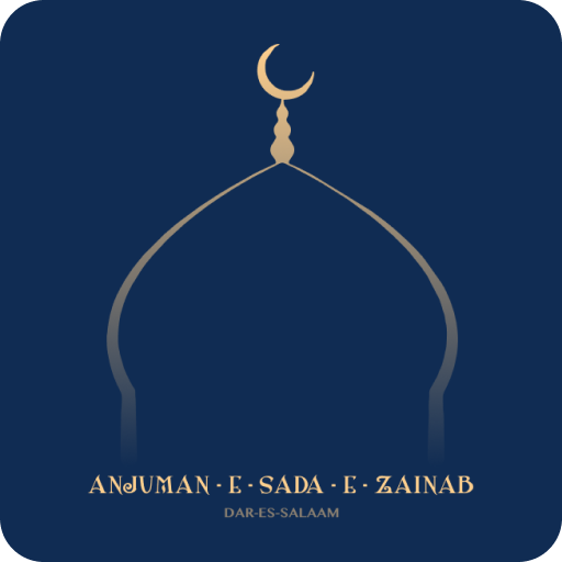 Sada-E-Zainab logo