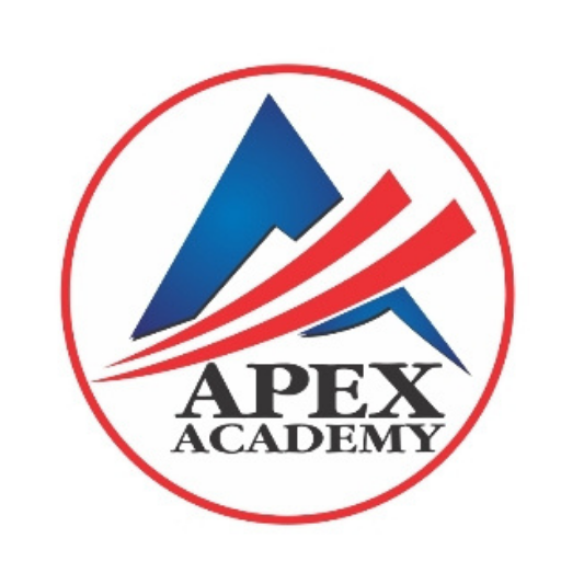 APEX ACADEMY-Your Online Class logo