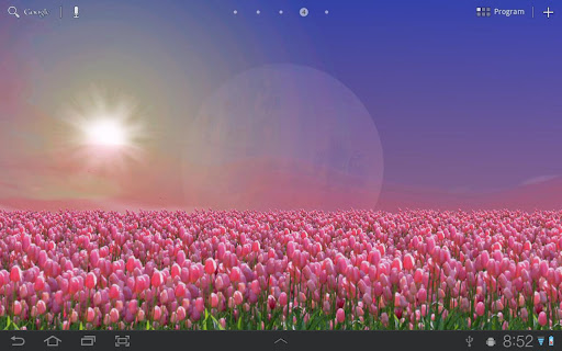 Tulip Field Live Wallpaper Screen 2