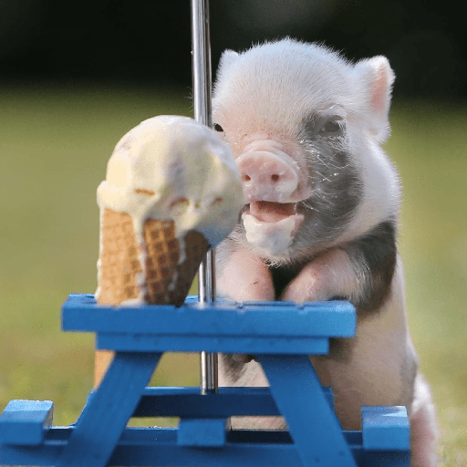 Pig Oink Livestock Soundboard logo