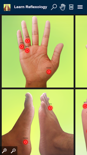 Learn Reflexology Areas