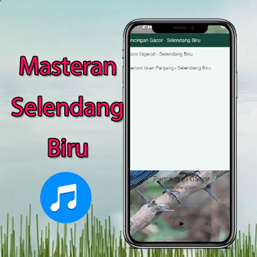 Masteran Selendang Biru Gacor Screen 3
