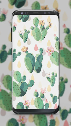 Cute Cactus Wallpapers Cartoon HD 2020