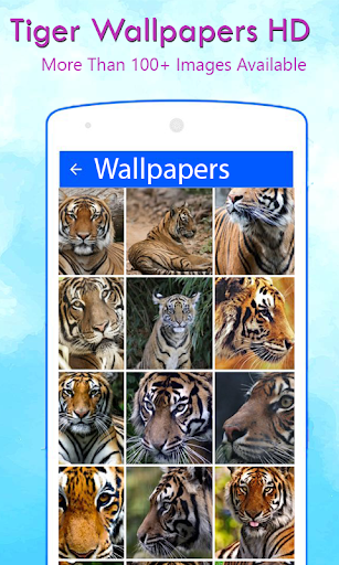 Android application Tiger Wallpapers HD screenshort