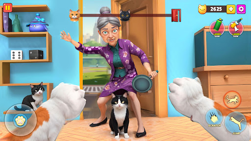 Mad Gran & Naughty Cat Prank 1