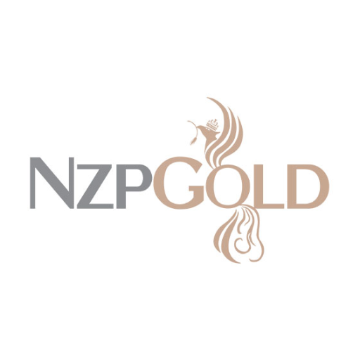NZP GOLD Download on Windows