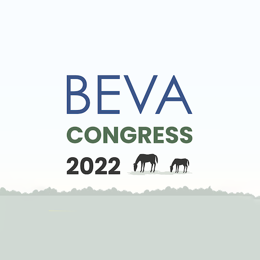 BEVA 2022 Install on Windows