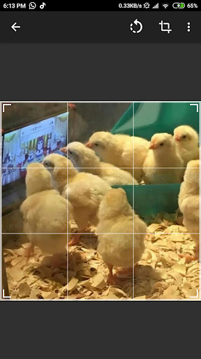 Meme Heaven Screen 3