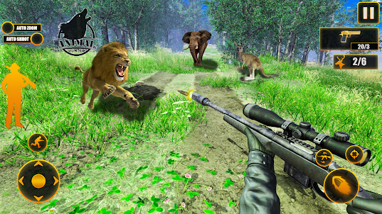 Chasse animaux Square Sniper