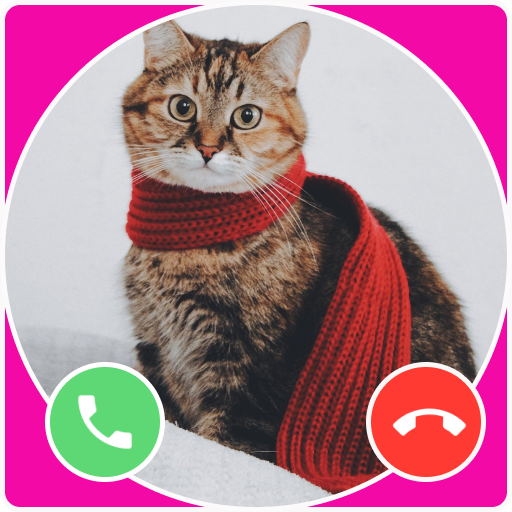 Cat Call You And Cat Wallpaper logo