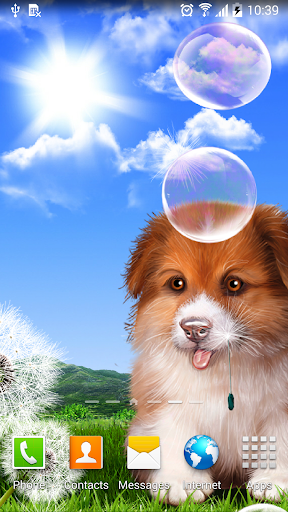 Puppy Wallpaper Screen 2