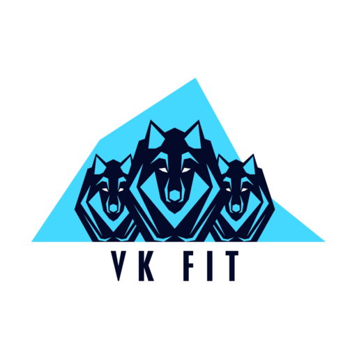 VK Fit Healthy Lifestyle logo