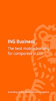 screenshot of ING Business