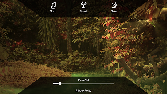 Enchanted Forest HD Apk Latest Version 4