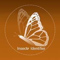 Insect Identifier - Bug identifier app