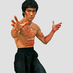 Ikonbillede Martial Arts - Skill in Techni
