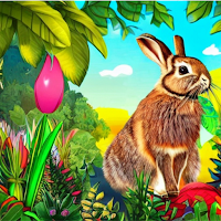 Rabbit adventure