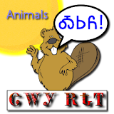 Cherokee Language Animals icon