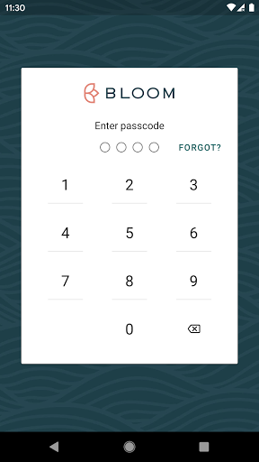 Android application Bloom FI screenshort