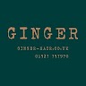 download Salon Ginger apk