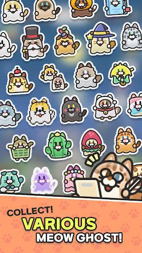 Meow Tomb Screen 2