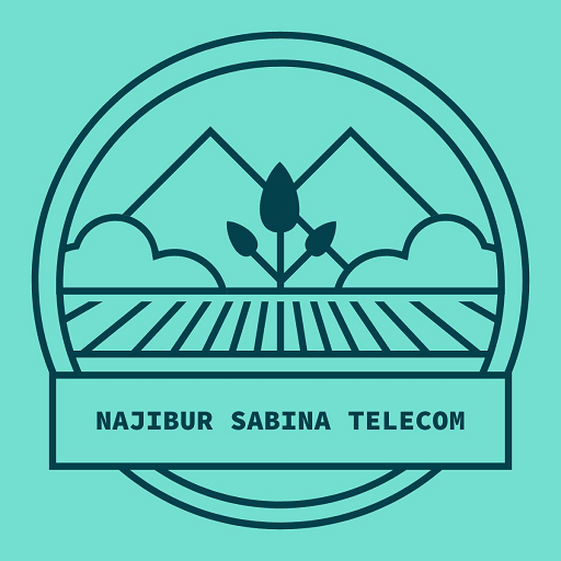 Najibur Sabina Telecom logo