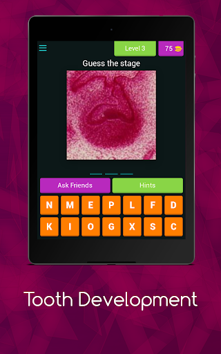 Tooth Development Quiz