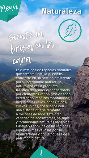 Vive Castilla y León