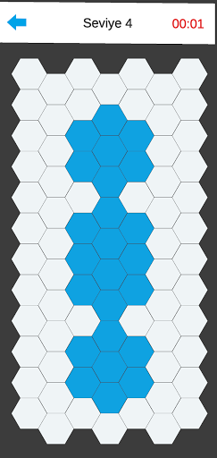 Hexagonal Way Screen 3